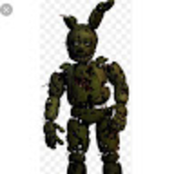 Meet your Posher, Noah - Picture 1 of 1